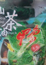 舜華臨武鴨山茶油鴨長(zhǎng)輩送禮醬板鴨湖南郴州特產(chǎn)正宗香辣特產(chǎn)送禮 460g山茶油鴨【送辣椒醬*4+禮袋 曬單實(shí)拍圖