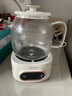 美的（Midea）全玻璃養(yǎng)生壺 辦公室燒水壺 家用多功能煮茶壺 花茶煮茶器 迷你小型電熱水壺 圍爐煮茶壺 【0膠水】YS10B101 1L 曬單實拍圖