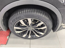 倍耐力四季胎255/45R19 104W P Zero All Season 曬單實拍圖