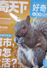 好奇號雜志2025年7月 每月3冊美國Cricket Media版權合作科學(xué)少兒科普期刊雜志 曬單實(shí)拍圖