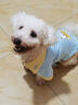 wakytu英國品牌xG的喵聯(lián)名POLO衫秋季比熊雪納瑞貓咪中小型犬寵物衣服 M碼POLO衫【適用于10-15斤以?xún)取?曬單實(shí)拍圖