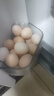 京鮮生 無抗保潔鮮雞蛋30枚/盒 健康輕食 禮盒送禮 1.5kg/盒 源頭直發(fā) 曬單實拍圖