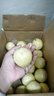 海南欽蜜9號黃金百香果啟鴻 新鮮水果純甜 如蜜 40個裝（30-45g） 曬單實拍圖