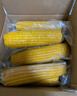 佳農(nóng) 內(nèi)蒙黃糯玉米棒8袋*220g 軟糯香甜 真空鎖鮮 源頭直發(fā) 禮盒包郵 曬單實拍圖