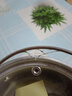 【加高】不銹鋼湯鍋加厚家用加高煲湯大容量煮粥燉鍋 小號【18cm】湯鍋+玻璃蓋 曬單實拍圖