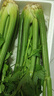新鮮出土西芹大顆半葉綠色蔬菜榨汁專(zhuān)用甜脆嫩心時(shí)令蔬菜現割現發(fā) 4斤西芹實(shí)惠裝 曬單實(shí)拍圖