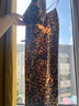 帛芮性感豹紋V領(lǐng)吊帶睡裙女高級感撩人帶胸墊純欲風(fēng)吊帶裙家居服 曬單實拍圖