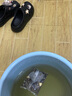 儒意泡腳藥包祛濕胃虛寒生姜花椒艾草紅花足浴男女士三伏天泡腳包30包 曬單實(shí)拍圖