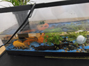 闊庭（KUOTING）魚(yú)缸水族箱生態(tài)桌面魚(yú)缸新款懶人魚(yú)缸過(guò)濾制氧一體機黑色【大號】 曬單實(shí)拍圖