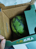 曉吸無(wú)籽麒麟瓜 4kg 曬單實(shí)拍圖