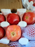 疆域采虹正宗普羅旺斯西紅柿現(xiàn)摘新鮮沙瓤水果生吃西紅柿沙漠特產(chǎn)自然熟 精選一級(jí)4.5斤分享裝 凈重約4斤 曬單實(shí)拍圖