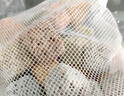 派樂特 魚缸過濾材料水族火山石陶瓷環(huán)細菌球器材用品十二合一濾材1kg 曬單實拍圖