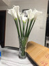 妙如意仿真花手感馬蹄蓮花束北歐客廳餐桌插花擺件假花裝飾花藝婚禮擺設 白色長(cháng)約65cm 2支 曬單實(shí)拍圖