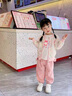 G.DUCKKIDS童裝女童春裝套裝兒童服裝一歲寶寶衣服小童春秋彩虹三件套2幼兒 粉色小熊彩虹毛衣三件套 90 尺碼1~2歲【 80-90cm】 曬單實拍圖