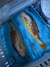 海名威 冷凍黃花魚700g/2條 寧德大黃魚地標(biāo) 海鮮水產(chǎn) 生鮮魚類  曬單實(shí)拍圖