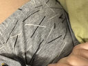七匹狼7A抑菌男士內(nèi)褲男純棉100%棉平角褲中腰印花全棉褲衩短褲頭四角褲 曬單實拍圖