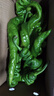 新鮮現(xiàn)摘螺絲椒薄皮香辣超市生鮮蔬菜青椒 香辣螺絲椒 2斤 曬單實(shí)拍圖