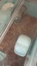 卡諾倉鼠核桃砂墊料生物酶除臭小寵夏季墊料金絲熊兔子用品5kg 曬單實拍圖