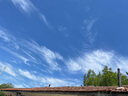 喬丹運(yùn)動(dòng)鞋男鞋網(wǎng)面夏季透氣舒適跑步鞋減震回彈休閑鞋男爸爸鞋 曬單實(shí)拍圖