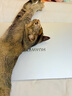 華為MateBook D 16 店鋪預(yù)裝Windows版 國(guó)家補(bǔ)貼20% 13代酷睿標(biāo)壓處理器i5 16G 1T 皓月銀 曬單實(shí)拍圖