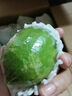 正宗無(wú)籽廣東香水檸檬新鮮當季商用一級果應當季水果奶茶店專(zhuān)用 海南香水檸檬凈重225g+約2-5個(gè) 50-90g 中果 曬單實(shí)拍圖