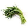 空心菜300g 曬單實拍圖
