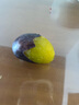 庾豐當(dāng)季新鮮現(xiàn)摘西梅 新鮮水果整箱 孕婦藍(lán)蜜法蘭西梅 團(tuán)購(gòu)送禮 5斤裝（凈果4.5斤）甄選果王 顆顆甄選 產(chǎn)地直發(fā) 曬單實(shí)拍圖