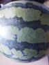 京鮮生 無(wú)籽麒麟大西瓜 1粒裝 7-9斤 中秋生鮮水果 曬單實(shí)拍圖