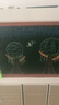 飛博士墨綠色60*90cm磁性黑板墻貼兒童創(chuàng  )意涂鴉墻環(huán)?？刹翆?xiě)無(wú)塵黑板磁吸家用上學(xué)生磁力黑板 曬單實(shí)拍圖