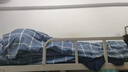 雅鹿大學(xué)生宿舍被子被芯全套一整套全棉被套六件套棉被柏拉圖藍床笠款 曬單實(shí)拍圖