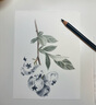 輝柏嘉（Faber-castell）【梵高認證】輝彩瑞境紀念套裝 Polychromos 油性彩鉛120色  藝術(shù)家級彩鉛禮盒繪畫(huà) 曬單實(shí)拍圖