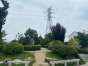 六養源茯苓薏米山藥龍須面 5斤裝面條正宗鐵棍山藥面掛面線(xiàn)面 曬單實(shí)拍圖