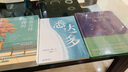 全3冊 布魯克林有棵樹(shù)+綠山墻的安妮+小王子 貝蒂史密斯著(zhù)兒童文學(xué)外國文學(xué)小說(shuō)20世紀青少年讀物 曬單實(shí)拍圖