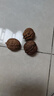 云南今年新貨野生老樹(shù)核桃紙皮薄皮孕婦黑桃薄殼干黑桃零食無(wú)漂 云南新貨薄皮核桃1斤-大樹(shù)普通果 曬單實(shí)拍圖