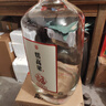 勁牌毛鋪苦蕎酒/糯高梁5L大桶賀歲酒 家庭裝 53%vol 5L 1桶 【糯高梁賀歲酒】 曬單實(shí)拍圖