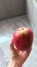 云南昭通丑蘋果冰糖心蘋果新鮮水果當(dāng)季整箱10斤紅露富士蘋果M5 3斤中果 曬單實(shí)拍圖
