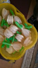 周十五益生菌蜂蜜露孕婦開塞蜜露待產(chǎn)包用產(chǎn)后哺乳期兒童蜂蜜栓禮品36支 曬單實(shí)拍圖