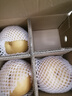 京鮮生山東煙臺萊陽(yáng)秋月梨凈重3斤單果250g+ 新鮮水果 源頭直發(fā)包郵 曬單實(shí)拍圖