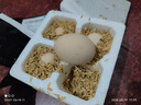 京喜加 鮮雞蛋 土雞蛋  五谷喂養(yǎng) 山林自養(yǎng)雞蛋溏心蛋早餐京東包郵40g 4枚40g左右 曬單實拍圖