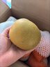 【熱賣爆款】正宗稍等秋季月梨新鮮現(xiàn)摘豐水梨 應(yīng)當(dāng)季時(shí)令冰糖梨 單果200g+ 5斤帶箱凈重4.5斤 曬單實(shí)拍圖