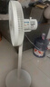 先科（SAST）電風扇/落地扇/臺式風扇/臺地兩用/家用風扇/交流定頻/15葉大風量風扇  FD-269 曬單實拍圖