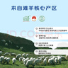 寧鑫寧夏鹽池灘羊肉羊小腿切塊1.6斤（含拐筋）地理標志產(chǎn)品 清真食品 曬單實(shí)拍圖