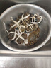 【活蟹】乾澄大閘蟹現(xiàn)貨 2.3-2.6兩8只 足斤足兩鮮活六月黃螃蟹生鮮海鮮禮盒裝源頭直發(fā) 曬單實(shí)拍圖