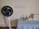 格力（GREE）【香薰?jié)M屋】空氣循環(huán)扇臺地兩用電風(fēng)扇落地扇循環(huán)左右搖頭輕噪對流香薰驅(qū)蚊循環(huán)扇 FXD-1903g3 曬單實(shí)拍圖