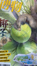 博物 2025年套裝 專(zhuān)題：椰子 2025年第8期 曬單實(shí)拍圖