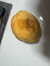 京覓 湖北棗陽錦繡黃桃 凈果3斤單果150g+ 新鮮水果 源頭直發(fā) 曬單實(shí)拍圖