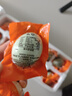 新鮮咸鴨蛋熟鴨蛋流油海鴨蛋整箱即食50g/枚飽滿流油生鮮超市批發(fā) 50g/枚流油咸鴨蛋 10枚 曬單實(shí)拍圖