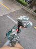 型公館學(xué)生軍訓(xùn)腰帶專用松緊彈力腰帶男初高中大學(xué)生軍訓(xùn)皮帶收緊神器女 曬單實拍圖