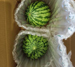 【產(chǎn)地直采】正宗北京龐各莊頭茬吊秧小西瓜1粒2kg 曬單實(shí)拍圖
