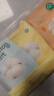 蘇泊爾（SUPOR） 磨粉機家用多功能料理機五谷雜糧研磨機粉碎機打粉機破碎機 【乳白色SMF2004】可拆杯 曬單實拍圖